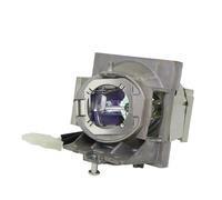 HRTHCAJ Ampoule de projecteur haute luminosité RLC-109 compatible avec PA503W, PG603W et PS600W