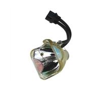 HRTHCAJ Ampoule de rechange haute performance 610-323-5998 POA-LMP94 avec boîtier for projecteurs PLV-Z5, PLV-Z4, PLV-Z60, PLV-Z5BK(POA-LMP94-CB)