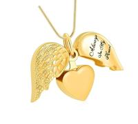 Hrtyvhin Collier de Cendres d ' Animaux de Compagnie, Bijoux de crémation en Forme d ' Aile de cœur, Souvenirs avec Compartiment sécurisé, Souvenirs en Forme de cœur pour Animaux de Compagnie
