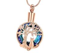 Hrtyvhin Collier Permanent en Pot pour Animaux de Compagnie, breloque cénotaphe Non ternie pour préserver Les Cheveux et Les Cendres, Collier d ' artefact pour Poils d ' Animaux