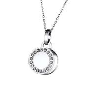 Hrtyvhin Collier pour Animaux de Compagnie ouvrable, chaîne d ' urne de crémation pour la Conservation des Cendres, Collier pour Animaux de Compagnie