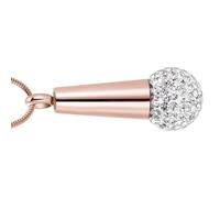 Hrtyvhin Pendentif de crémation pour Animaux de Compagnie, médaillon commémoratif ouvrable en Acier Inoxydable, Bijoux pour contenir Les Cendres et Les Cheveux des défunts