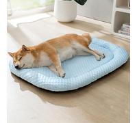 Hruile Tapis d'été rafraîchissant pour chien, matelas lavable à bords surélevés pour animaux de compagnie, chats et chiens de petite et moyenne taille avec fond antidérapant (65 x 50 x 4 cm, bleu)