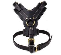 HS012 Harnais Chien Anti Traction Cuir Véritable Harnais pour Chien Durable Gilet Chien pour Chiens de Taille Moyenne et Grande, Facile à Mettre, Noir,L