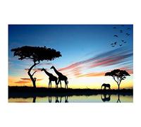 HSFFBHFBH Toile Peinture Africaine Savane Paysage HD Imprimer Girafe Éléphant Affiche Mur Art Photo Salon Décor À La Maison 50x70 cm (19.7"x27.6) Pas de Cadre