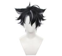 HSHUHMLBJ Short Black Mixed Gary Daily Party Cosplay Perruque pour Wriothesley Anime Cosplay Perruque