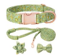 HSIGIO Ensemble collier et laisse réglables pour chiot avec nœud papillon planète pour chiens femelles de petite, moyenne et grande taille, motif planète verte, taille L