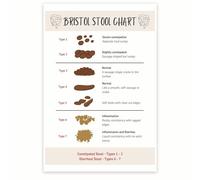 HSMXNEONJB Digestive System Educational Chart - Biology Poster with Fun Facts, Science Themed Wall Art Print for School, Tutoring Center, or Home Library(Framed,08x12inch(20x30cm))