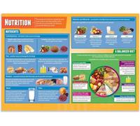 HSMXNEONJB Food Groups Poster MyPlate Guide for Health and PE Classroom Decor Middle High School Nutrition Education Chart(Unframed,12x18inch(30x45cm))