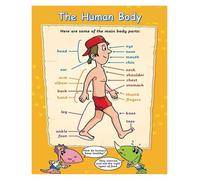 HSMXNEONJB Fun Facts About The Human Body Poster - Illustrated Educational Poster for Curious Kids, Elementary Science Class & Home School (Framed,08x12inch(20x30cm))