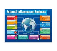 HSMXNEONJB High School Business Studies Poster External Influences on Business Educational Wall Chart for College Classroom Economics Teaching Materials Decor(Unframed,16x24inch(40x60cm))