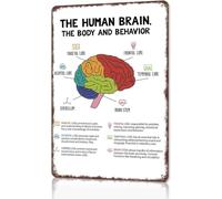 HSMXNEONJB Human Brain Anatomy Education Sign 12x8 Inch