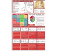HSMXNEONJB Retro Electrocardiogram Diagram Metal Sinus Rhythm Heart Beat Pattern Poster Education Art Plaque Hospital Nurse Station Wall Hanging Tin Sign 8 X 12 inch