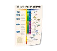 HSMXNEONJB SaiFfe History of Life on Earth Poster - Evolution Timeline & Geological Eras Canvas Print, Educational Wall Art for Office, Study(Unframed,12x18inch(30x45cm))