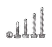HSQPMGPRJ Vis Autoperceuses À Tête Hexagonale en Acier Inoxydable 304, 5/10/20 Pièces, M4.2 4.2mm/M4.8 .8mm/M5.5 .5mm/M6.3 6.3mm Autotaraudeuses(M4.8x16mm-20pcs)