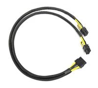 HSSDTECH 10pin to 8+8pin Câble d'alimentation Remplacement pour HP DL380 G6 and GPU Power Supply Cable (50cm)
