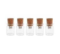 Hsthe Sea 5 Pack 8 GO Mignon Flash Drive USB 2.0 Bocaux De Stockage Boîte Unique Bocal en Verre Bouteille et Cork Memory Stick Pen Drive Cadeau De Mariage Électronique Fantaisie