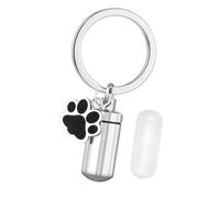 Hsthe Sea porte-clés pour animaux de compagnie, porte-clés patte d'animal de compagnie, bijoux commémoratifs de cendres de crémation de chat, pendentif commémoratif de poils d'animaux de compagnie