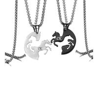 Hsumonre Collier de cheval assorti personnalisé pour Couple meilleur ami personnaliser Puzzle cercle bijoux promesse cadeau d'anniversaire amitié pendentif BFF amoureux titane acier (Multicolore)