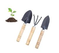 Hsyadazi Lot de 3 outils de jardinage - Mini pelle, râteau et truelle avec manche en bois - Pour plantes en pot, bonsaï et plantes succulentes
