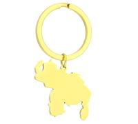 Hsyzygian Porte-clés en acier inoxydable avec carte du Venezuela - Souvenir de la culture vénézuélienne pour homme et femme, doré, taille unique