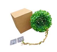 Hsyzygian Réservoirs à suspendre pour petits animaux de compagnie et forêts tropicales - Décoration de vivarium - Accessoires de paysage - Plante artificielle pour vivarium