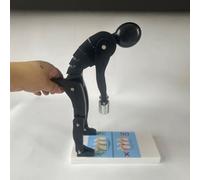 HTDRE Appareil de rééducation Lombaire, modèle interactif de Musculation Humaine pour la Correction de la Posture et la Protection de la Colonne vertébrale, Outil pédagogique avec Base