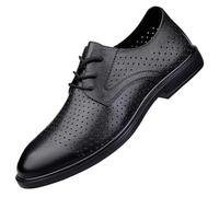 HTERWQEA Chaussures Oxford Classiques à Lacets for Homme, Souliers Ville Respirants et imperméables, Semelles en Caoutchouc antidérapantes, Style Brogue(40 EU)
