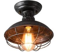 HTERWQEA Wire Cage Ceiling Light Fixture Industrial Semi Flush Mount Ceiling Lamp Retro Dome E26 Black Pendant Lights for Aisle Corridor Living Room Foyer Balcony Hallway Bedroom(Silver)