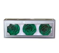 HTLNUZD Forever Roses Lot de 3 boîtes de roses éternelles préservées romantiques pour décoration de fête de mariage, fête des mères, Saint-Valentin, loisirs créatifs (vert foncé)