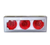 HTLNUZD Forever Roses Lot de 3 boîtes de roses éternelles préservées romantiques pour décoration de fête de mariage, fête des mères, Saint-Valentin, loisirs créatifs (rouge)