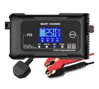 HTRC Chargeur de Batterie Voiture 25A, Chargeur Voiture 12V/24V, Maintien Charge Batterie, Chargeur de Batterie Intelligent pour Batteries au Lithium LiFePO4 Plomb-Acide(AGM, Gel, MF, EFB, SLA, Wet)