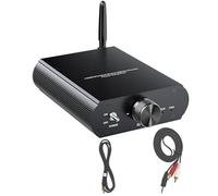Htuteyy -T100w Amplificateur Mini Audio 100W TPA3116 Boost Mono Canal Bluetooth 5.3 Contrôle APP Support 12-24V