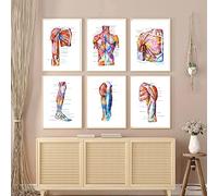 HTWLMM Abstrait Corps Humain Anatomie Affiche Impression sur Toile Tableau Médicale Peintures Decoration Murale Art Clinique Bureau Décor sans Cadre (6X50X70CM)