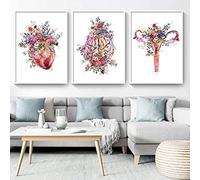 HTWLMM Organe Anatomique Fleurs Affiche Impression sur Toile Anatomie Humaine Cerveau Coeur Poumon Peintures Decoration Murale Art Tableaux Clinique Bureau Décor sans Cadre (C,3X40X50CM)