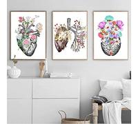 HTWLMM Organe Anatomique Fleurs Affiche Impression sur Toile Anatomie Humaine Cerveau Coeur Poumon Peintures Decoration Murale Art Tableaux Clinique Bureau Décor sans Cadre (A,3X30X40CM)