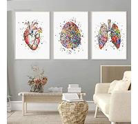 HTWLMM Organe Anatomique Fleurs Affiche Impression sur Toile Anatomie Humaine Cerveau Coeur Poumon Peintures Decoration Murale Art Tableaux Clinique Bureau Décor sans Cadre (B,3X40X60CM)