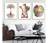 HTWLMM Organe Anatomique Fleurs Affiche Impression sur Toile Anatomie Humaine Cerveau Coeur Poumon Peintures Decoration Murale Art Tableaux Clinique Bureau Décor sans Cadre (F,3X30X40CM)