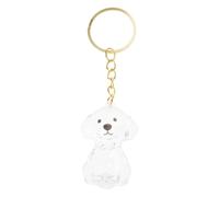 HUAANYA 1 boîte de rangement commémorative pour poils d'animaux de compagnie, pendentif en acrylique avec chaîne en métal, pendentif urne pour animaux de compagnie, mémoriaux pour les amoureux des