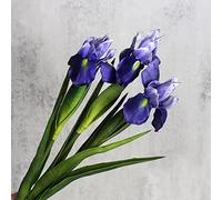 huaao Lot de 3 Fleurs Iris Artificielles Longues Tiges Artificielles, Décoration pour Bouquet de Mariage Fête Maison avec Cuisine, Décoration de Table, Violet