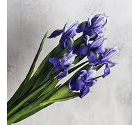 huaao Lot de 6 Fleurs Iris Artificielles Longues Tiges Artificielles, Décoration pour Bouquet de Mariage Fête Maison avec Cuisine, Décoration de Table, Violet