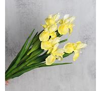 huaao Lot de 6 Fleurs Iris Artificielles Longues Tiges Artificielles, Décoration pour Bouquet de Mariage Fête Maison avec Cuisine, Décoration de Table, Jaune