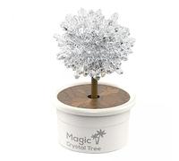 HuadaXtai 5x Kits de Culture de Cristaux pour Enfants Kits Scientifiques de Culture de Cristaux Activités Jouets éducatifs Créatifs Ensemble éducatif Kits