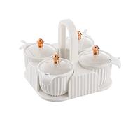 HuadaXtai Boîte à Condiments avec Couvercle Transparent et Cuillère Récipient à Épices Distributeur Intégré Poignée Portable Matériau HIPS Adaptée pour Usage Do, blanche