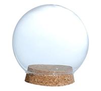 HuadaXtai Cloche en Verre Transparente avec Base en Bois Dôme Anti-poussière Rond Récipient Micro- pour Fleurs et Accessoires Adaptée pour Office