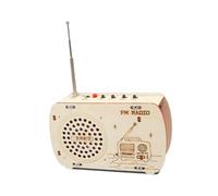 HuadaXtai Kit de Maquettes Scientifiques Radio à Faire Soi-même pour Enfants, pour Apprendre et S'amuser