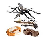 HuadaXtai Kit d'Insectes Moustique Cycle Éducatif pour Enfants