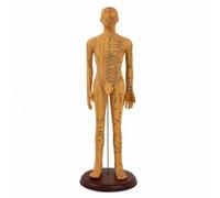 HuadaXtai Mannequin d'Acupuncture Modèle Anatomique Figure d'Enseignement Support de Formation Repères d'Axes et Points Méridiens Surface Annotée en Pvc Rigide, 62 Cm, style to 3