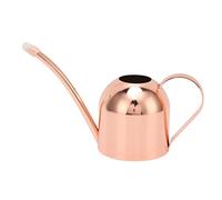 Huairdum Arrosoir en Acier Inoxydable Or Rose, Arrosoirs de Grande capacité pour Plantes de bonsaï Intérieures et Extérieures, Mini Arroseur Décoratif pour Plantes, Idéal pour Les Fleurs de Jardin