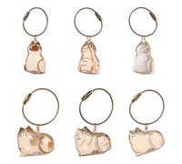 HUAJINGKEJI Boîte de rangement transparente pour poils de chaton - Pour les bijoux et les accessoires - Portable